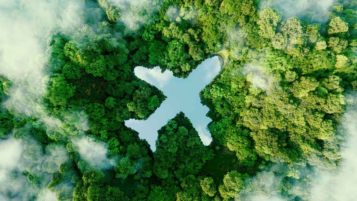 Green forest forming a plane silhouette 
