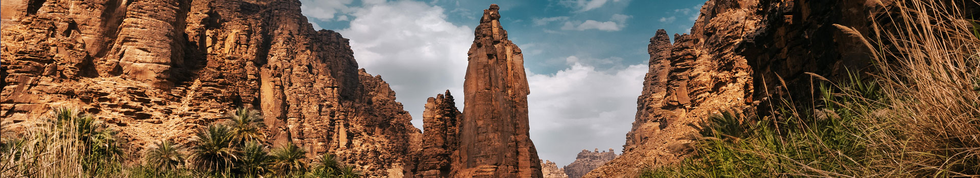 Discover Saudi Arabia